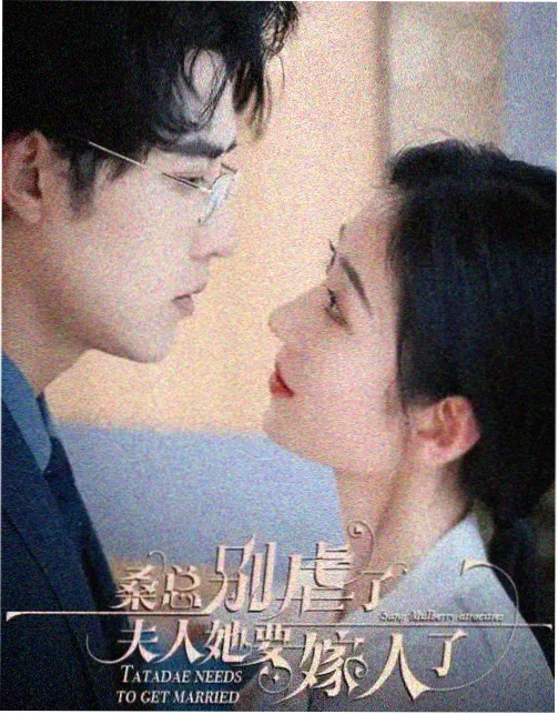 白色橄榄树第05集断线剧情画面